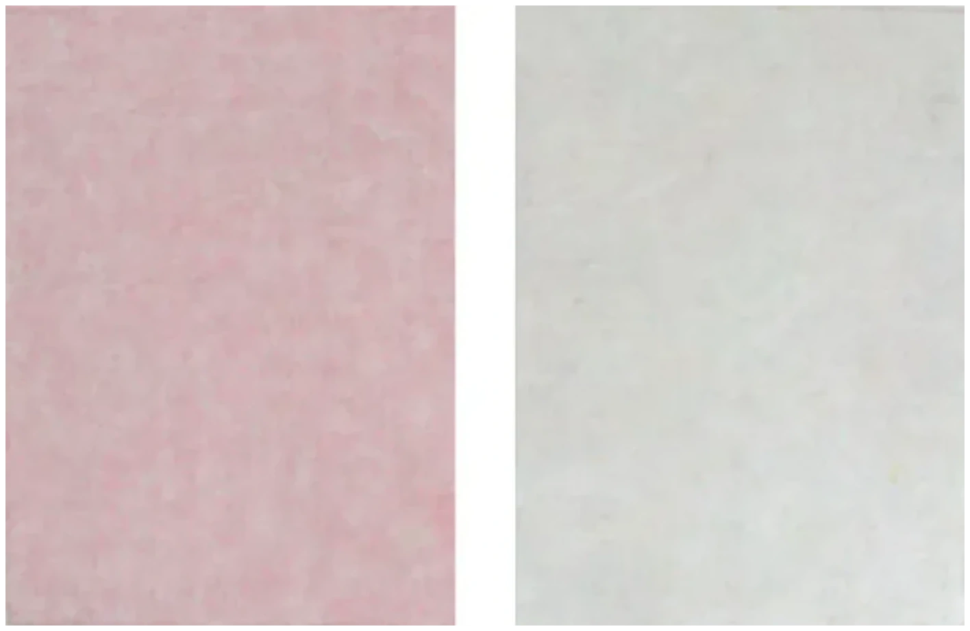 Bernward Heinze: 2 Farbfelder: Aufblühendes Rosa und Weiß, 78 x 57 cm, Ölpastell auf Aquarellpapier